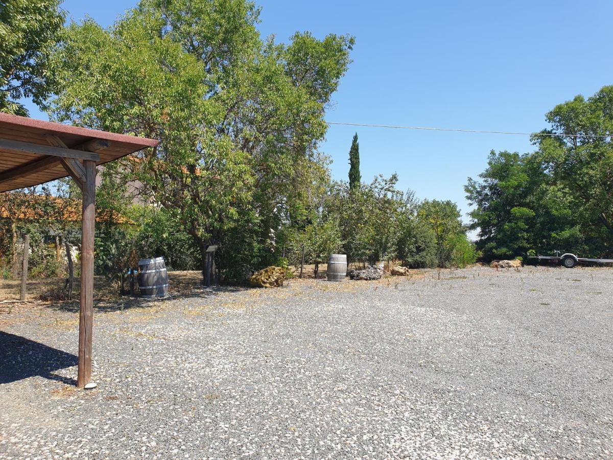 Agriturismo Diaccialone Villa Istia dʼOmbrone Dış mekan fotoğraf