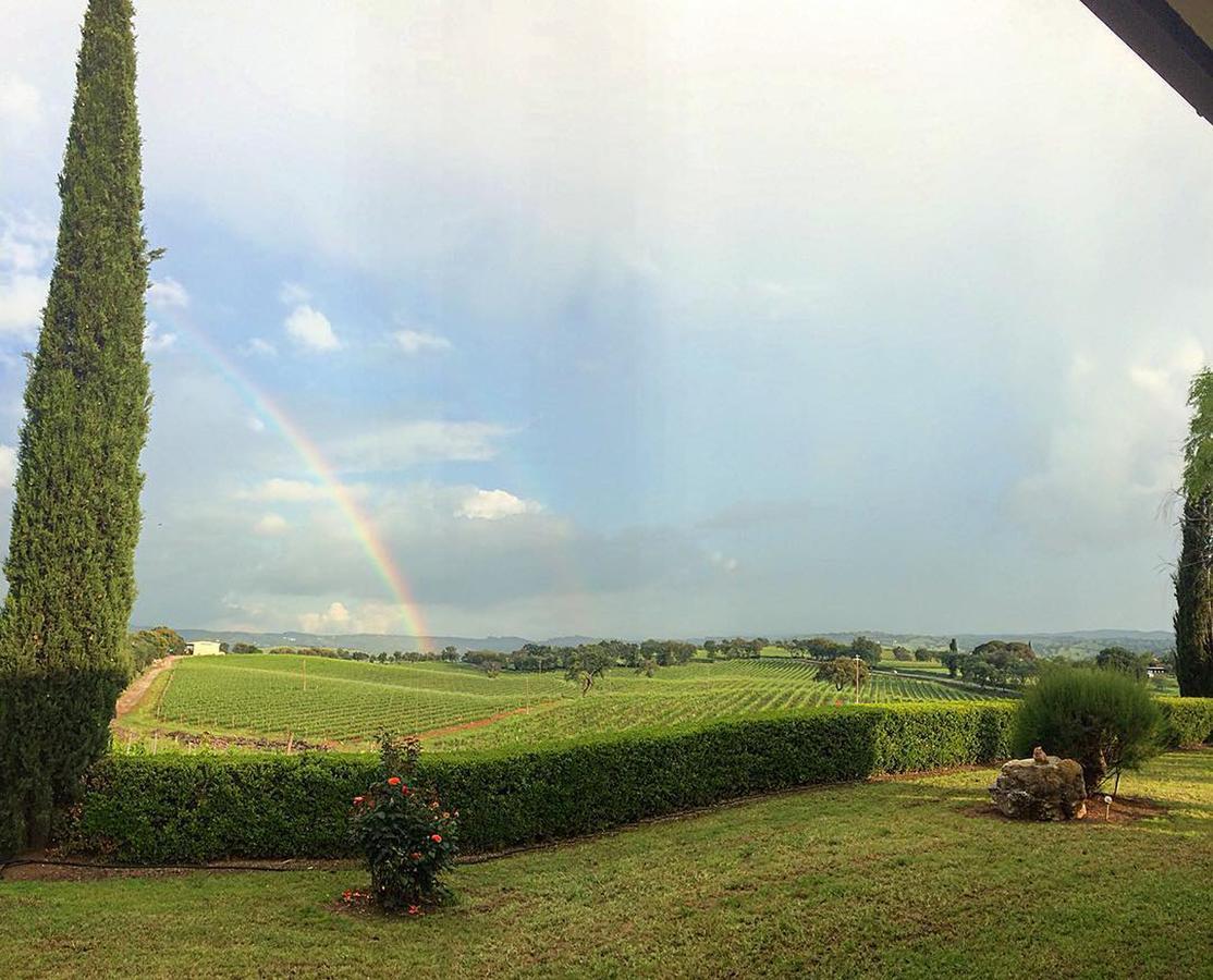 Agriturismo Diaccialone Villa Istia dʼOmbrone Dış mekan fotoğraf